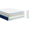 Écorchés du Matelas Dunlopillo Erakis